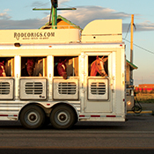 A rodeo-horse trailer makes a late-afternoon stop for gasoline on a Wyoming road.